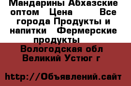 Мандарины Абхазские оптом › Цена ­ 19 - Все города Продукты и напитки » Фермерские продукты   . Вологодская обл.,Великий Устюг г.